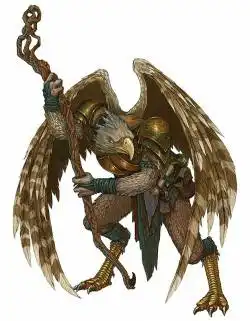 Aarakocra Cleric dnd clerigo